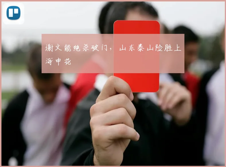 谢文能绝杀破门，山东泰山险胜上海申花