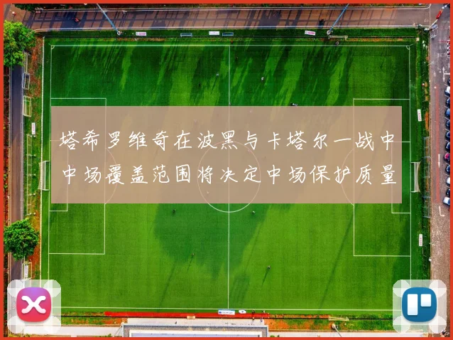 塔希罗维奇在波黑与卡塔尔一战中中场覆盖范围将决定中场保护质量