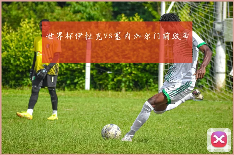 世界杯伊拉克vs塞内加尔门前效率